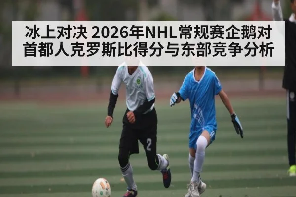 冰上对决 2026年NHL常规赛企鹅对首都人克罗斯比得分与东部竞争分析 | kaiyun